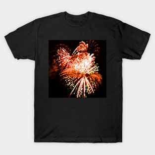 Firework No.69 T-Shirt